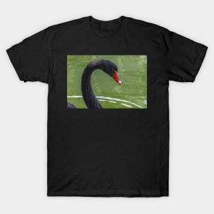 black swan T-Shirt